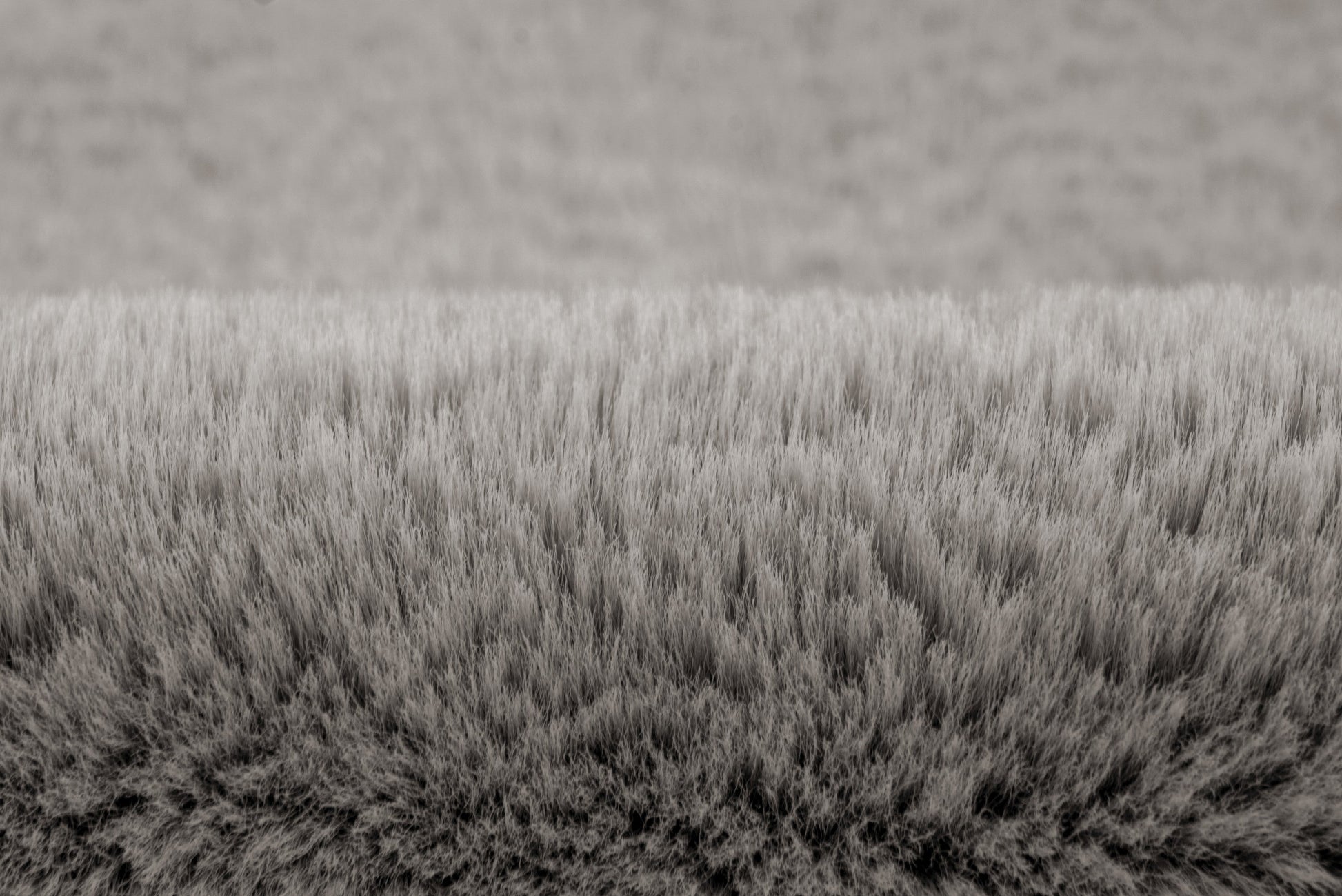 Heaven 800 Silver Grey Super Soft Fluffy Rug - Lalee Designer Rugs