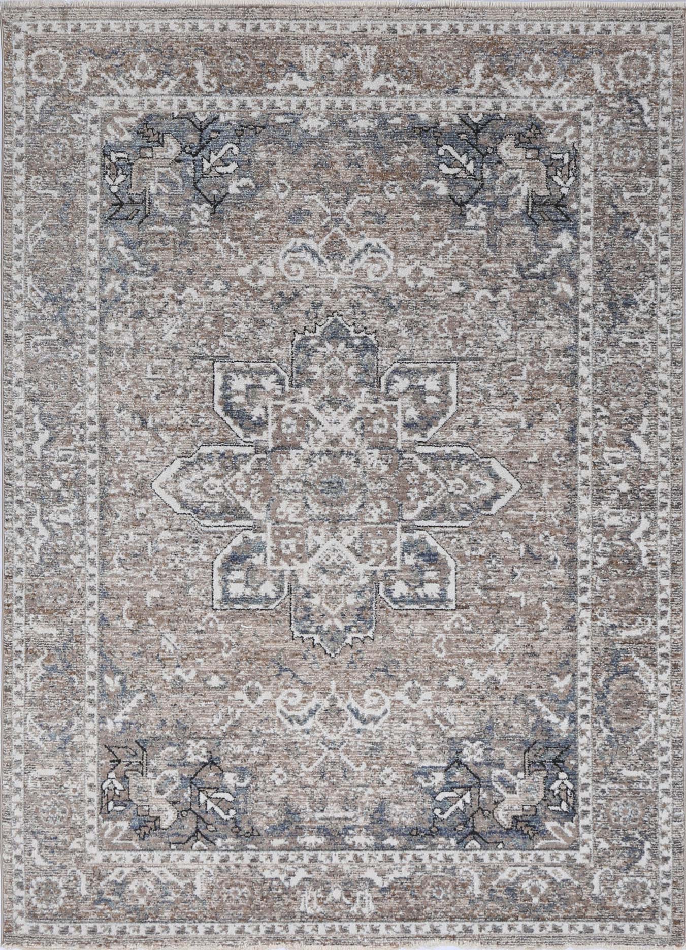 Zedland Virginia Medallion Transitional Ash Rug