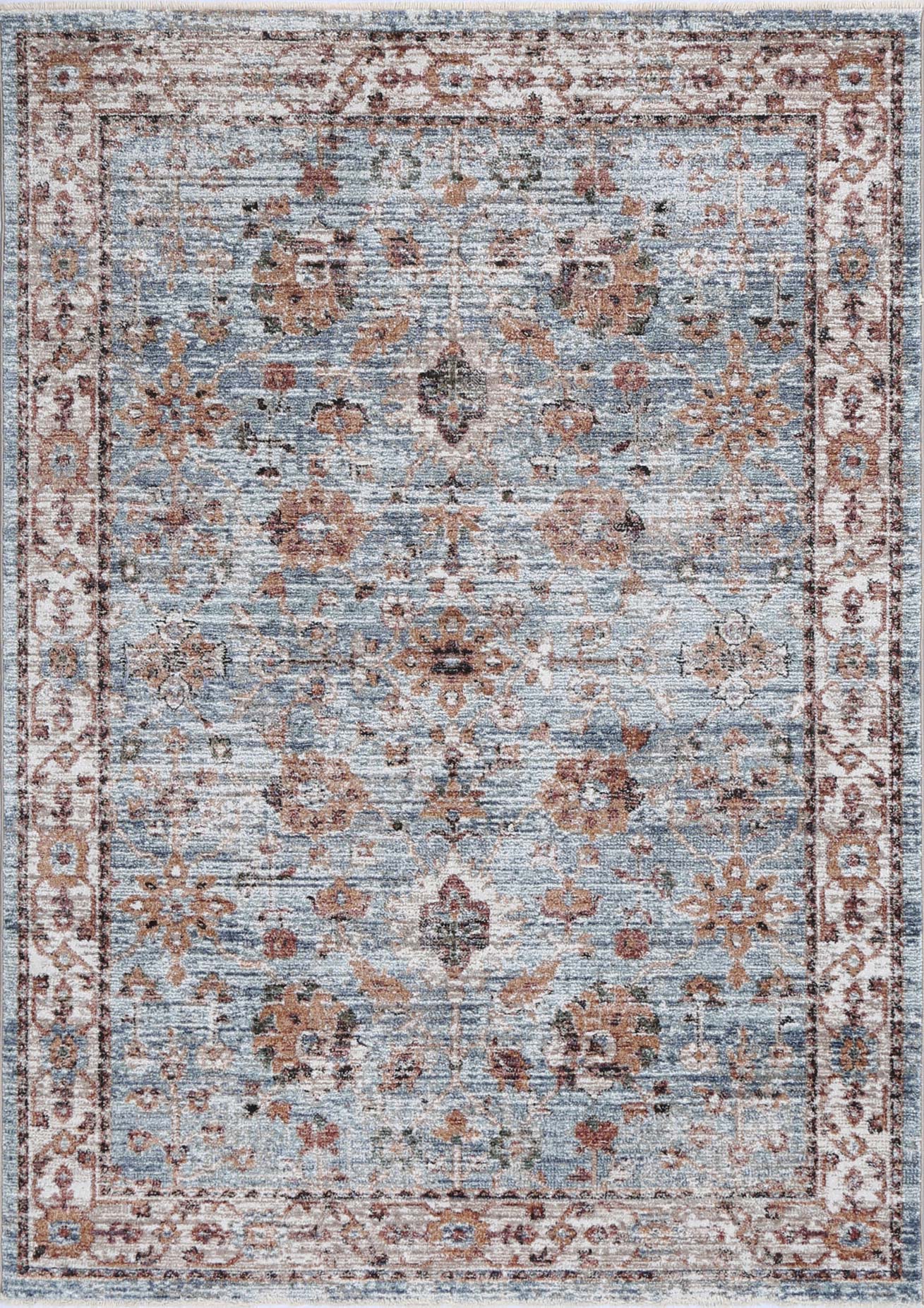 Zedland Roanoke Transitional Blue Rug