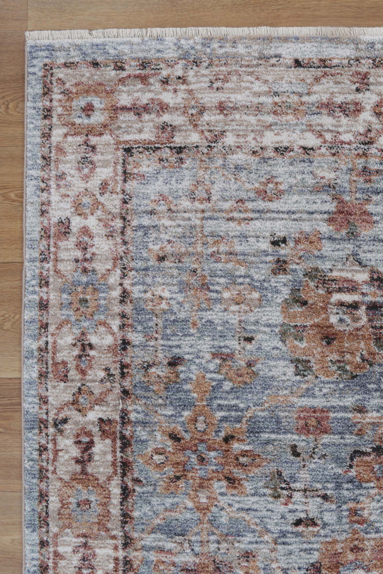 Zedland Roanoke Transitional Blue Rug