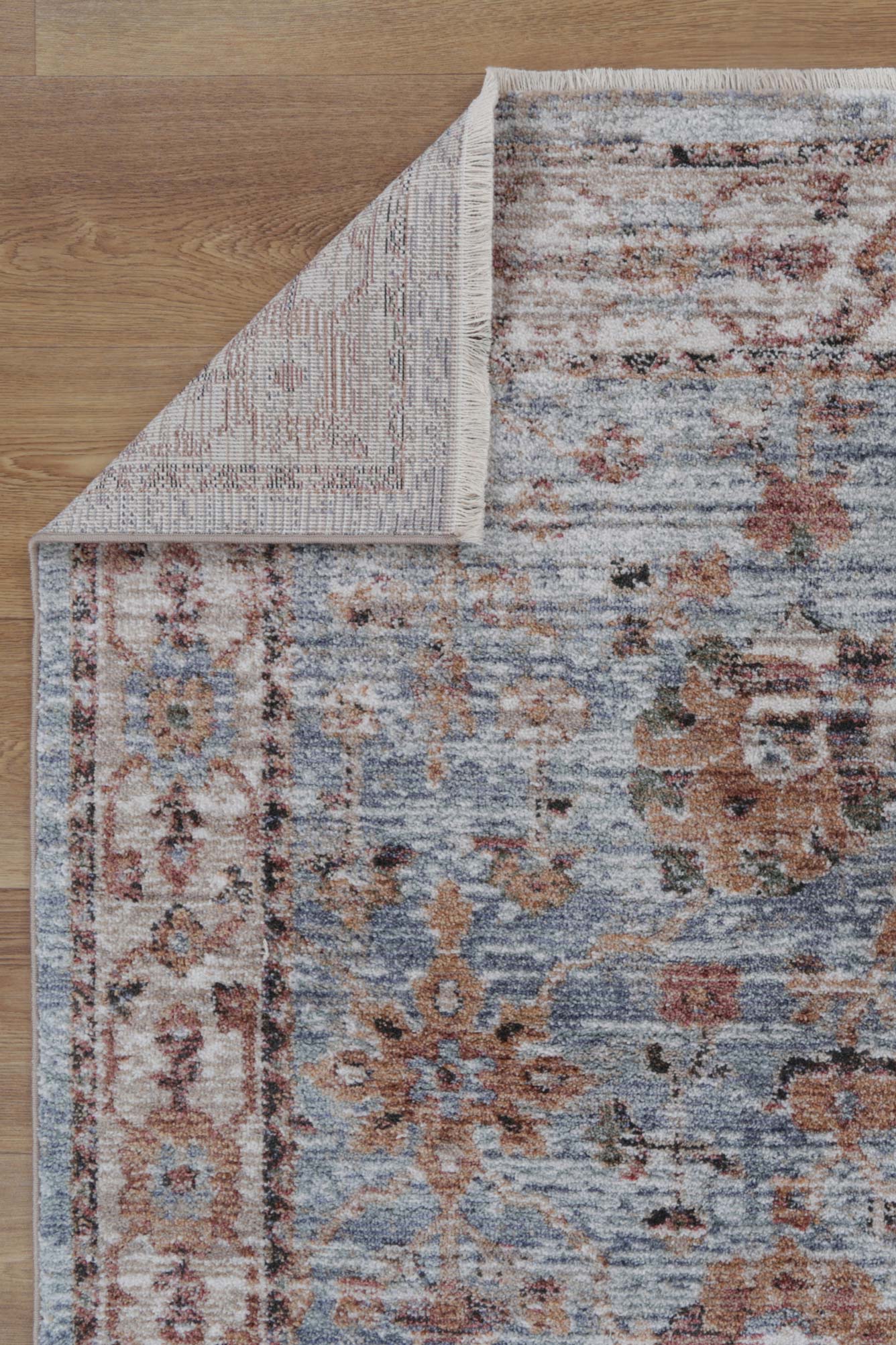 Zedland Roanoke Transitional Blue Rug